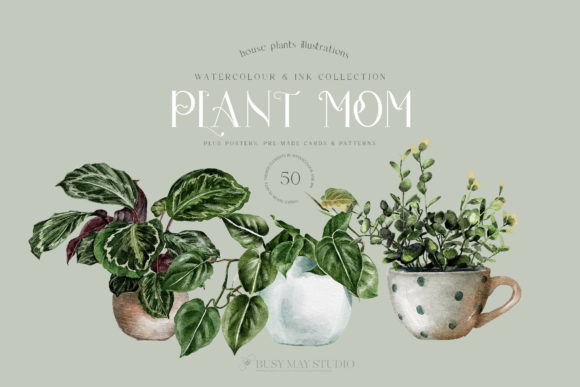Download House Plants Illustrations and Patterns - Pattern Collection